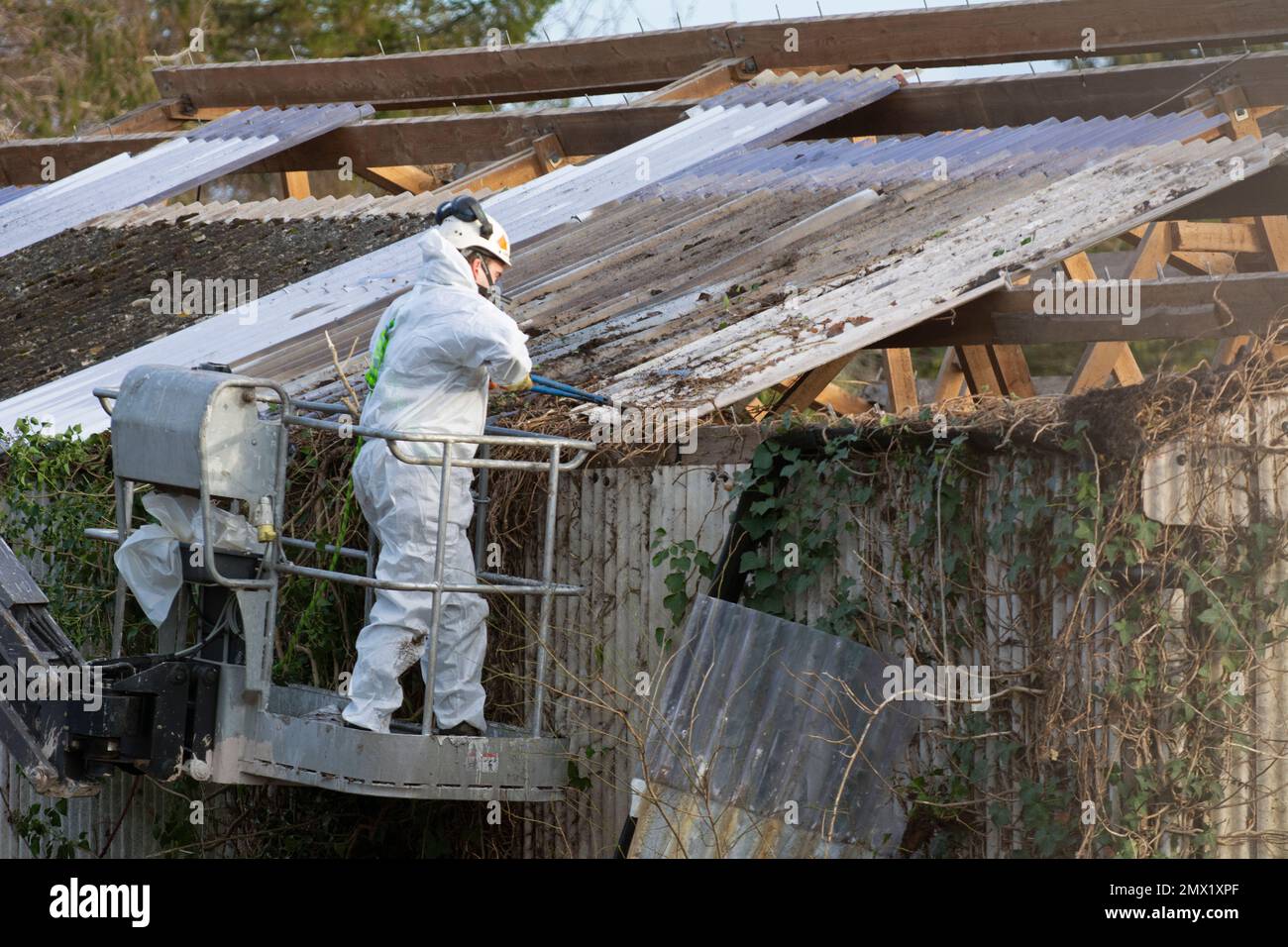 Safe asbestos disposal and packaging in London